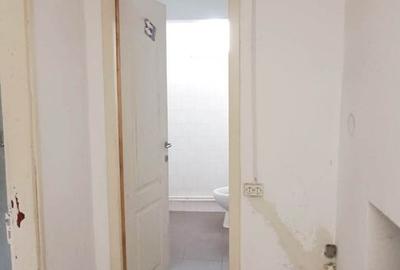 Proprietate cu 2 hale si casa la inchiriat,teren 1350mp - 8