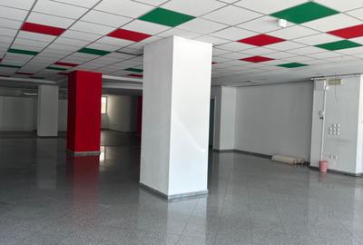 Spatiu comercial Parter +Subsol stradal - 15