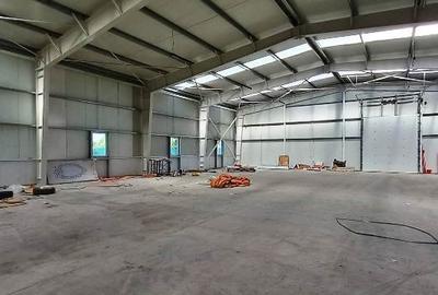 Magurele,hala 1000 mp,constructie noua ,ideal depozitare,productie - 14