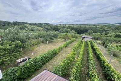 Casa de vanzare P+M cu teren 3300 mp, Hidiselu de sus - 9