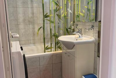 Dorobanti Caragiale-ASE- contract ANAF- pet friendly - 7