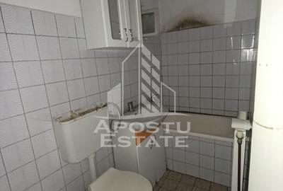 Casa individuala + garaj si anexa, oportunitate investitie, Sagului! - 24