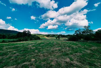 Teren agricol extravilan de 3220 mp, în Șinca Nouă