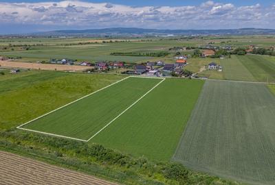 Teren 9.300 mp Stupini | Front 45.59 m la Asfalt | PUG Zonă L1c - 6