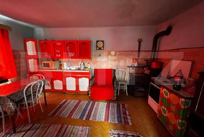 Casă tradițională, teren 2.043 mp zona Aghiresu - 9