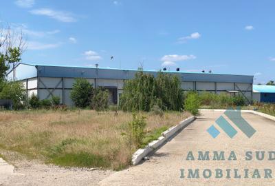 Hala Productie Abator - 1.000 mp - 5.000 mp teren - Sos. Oltenitei DN4 - 2