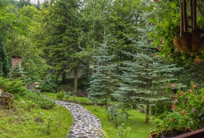 Vila de vanzare in Sinaia - 26