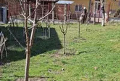 Casă renovata cu teren generos și acces auto din două străzi | Dâmbul Rotund - 5
