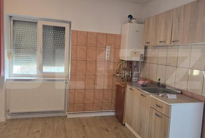 Casă individuală cu 2 camere în Botizului