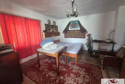 Vanzare casa in Muntii Apuseni - 3