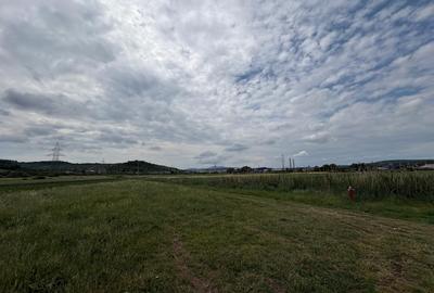 Teren Construcții intravilan de 4200 mp, în Crișeni