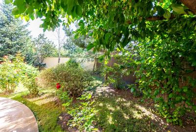 Casă / Vilă de vânzare cu 5 camere in Corbeanca/Tamasi, zona premium - 37