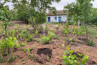 Teren intravilan 2562mp Loc 23 August | Ideal locuiță sau casă vacanță - 5