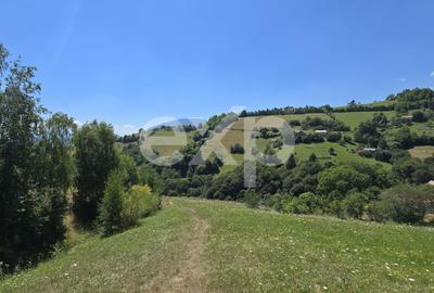Teren agricol extravilan de 3757 mp, în Poiana Mărului