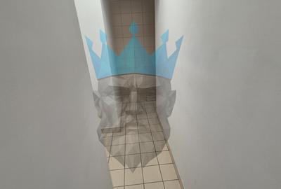 Spatiu Comercial Bulevardul Magheru Piata Romana - 10