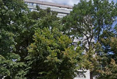 Lacul Tei stradal vav Facultatea de Constructii,langa Parcul Tei - 1