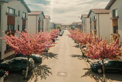 Sanpetru Residence