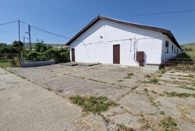 Teren 43884 mp intravilan, 4 hale 6000 mp, nod autostrada, Bogata - 3