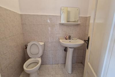 INCHIRIERE Casa individuala D + P + E + M cu 8 Camere 5 Bai 750 mp Teren CETATE - 6