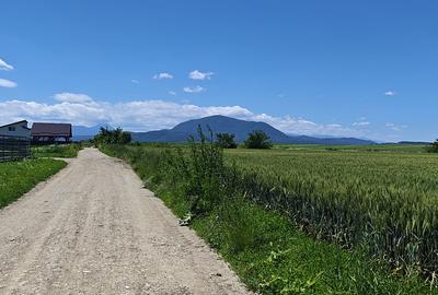 Loturi de casă în Hălchiu - Brașov. - 3