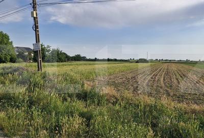 Teren Construcții intravilan de 10000 mp, în Găești