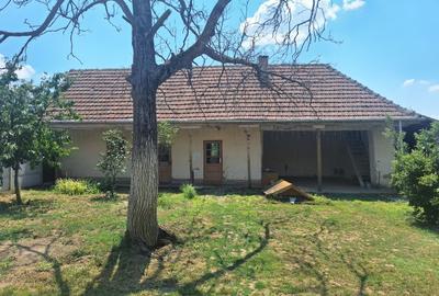 Vand doua case cu teren livada nuci si pruni - 6
