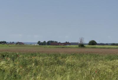 Teren agricol extravilan de 5000 mp, în Berceni