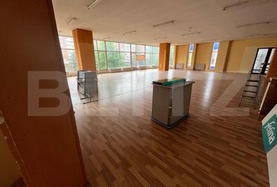 Spațiu comercial, de 790.00 mp, în Rogerius