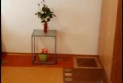 Oferte Inchirieri Garsoniere Drumul Taberei Plazza Romania - 3