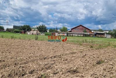 Teren Intravilan, 1ha,  langa noul Mall - 1