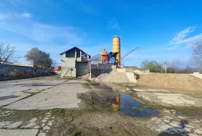 De închiriat platforma betonata 3178 mp teren si șopron, Borșului 47 - 7