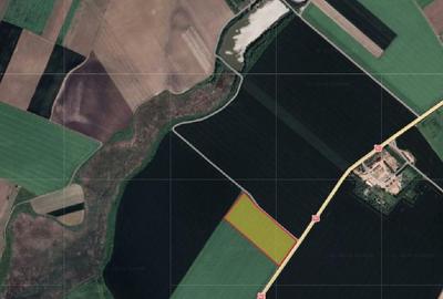 Teren agricol extravilan de 38400 mp, în Malu