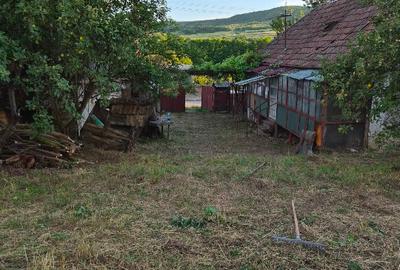 Casă individuală cu 3 camere în Dăbâca
