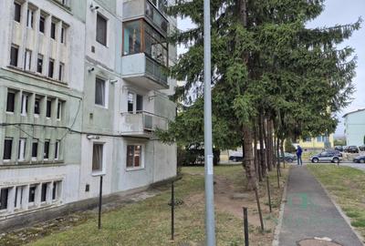 Apartament 2 camere, etaj 1, centrală proprie, str. Vasile Goldiș, Sfâ - 11