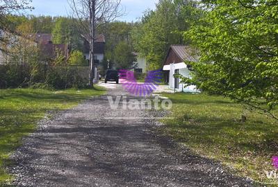 Teren Construcții intravilan de 617 mp, în Valea Aurie