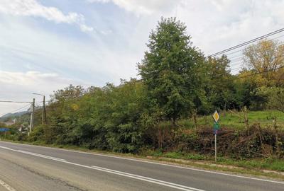 Teren intravilan de 3000 mp, în Ilba