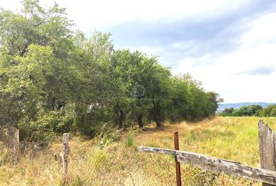 Teren intravilan Targu Jiu Polata - 2