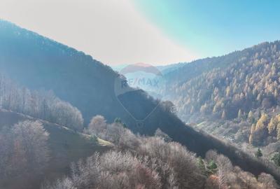 Teren Colinar Panoramic – 17.684 mp în Scheii Brașovului - 8