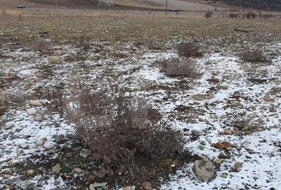 Teren agricol intravilan de 2800 mp, în Iris