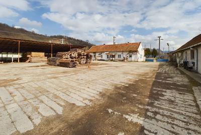Fabrica prelucrare lemn de vanzare – Lipova, Arad - 5