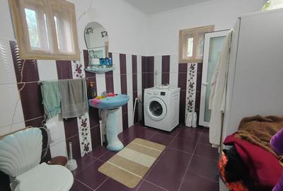 Casa - 24 ari de teren - Valea Ghinzii - 6