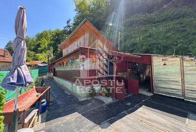 Casa cu 2 camere, zona muntoasa, casa din 2023 sat Criscior, Hunedoara - 1