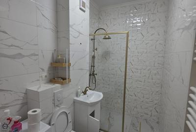 Garsonieră  Campus Aviatorii Residence 500 euro - 6