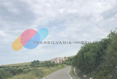 Teren Construcții intravilan de 3000 mp, în Rădaia