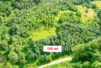 Teren agricol extravilan de 31733 mp, în Moieciu de Jos