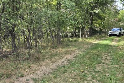 TEREN IN VLADESTI - NATURA, LINISTE SI DOAR 7 KM PANA IN CENTRUL RAMNICULUI - 7