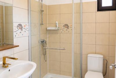 Vila duplex comuna Berceni - 7
