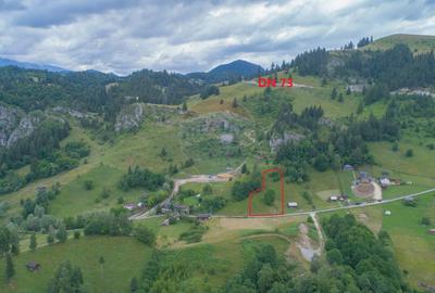 Teren2058mp Dambovicioara la poalele parcului National Piatra Craiului - 2