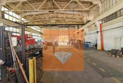Hala Maracineni, distributie, productie, S=900 mp, pod rulant - 5