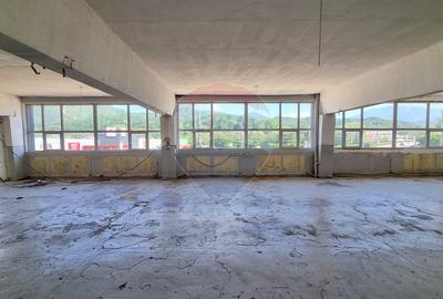 Spatiu comercial 370 mp | Vasile Lucaciu Baia Mare | 3 €/mp - 4